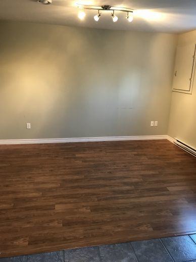 38A Burryport St. – Bright 1 Bdrm in East End! - Photo 3 of 8