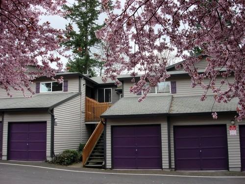 11349 Sw 135th Avenue #8