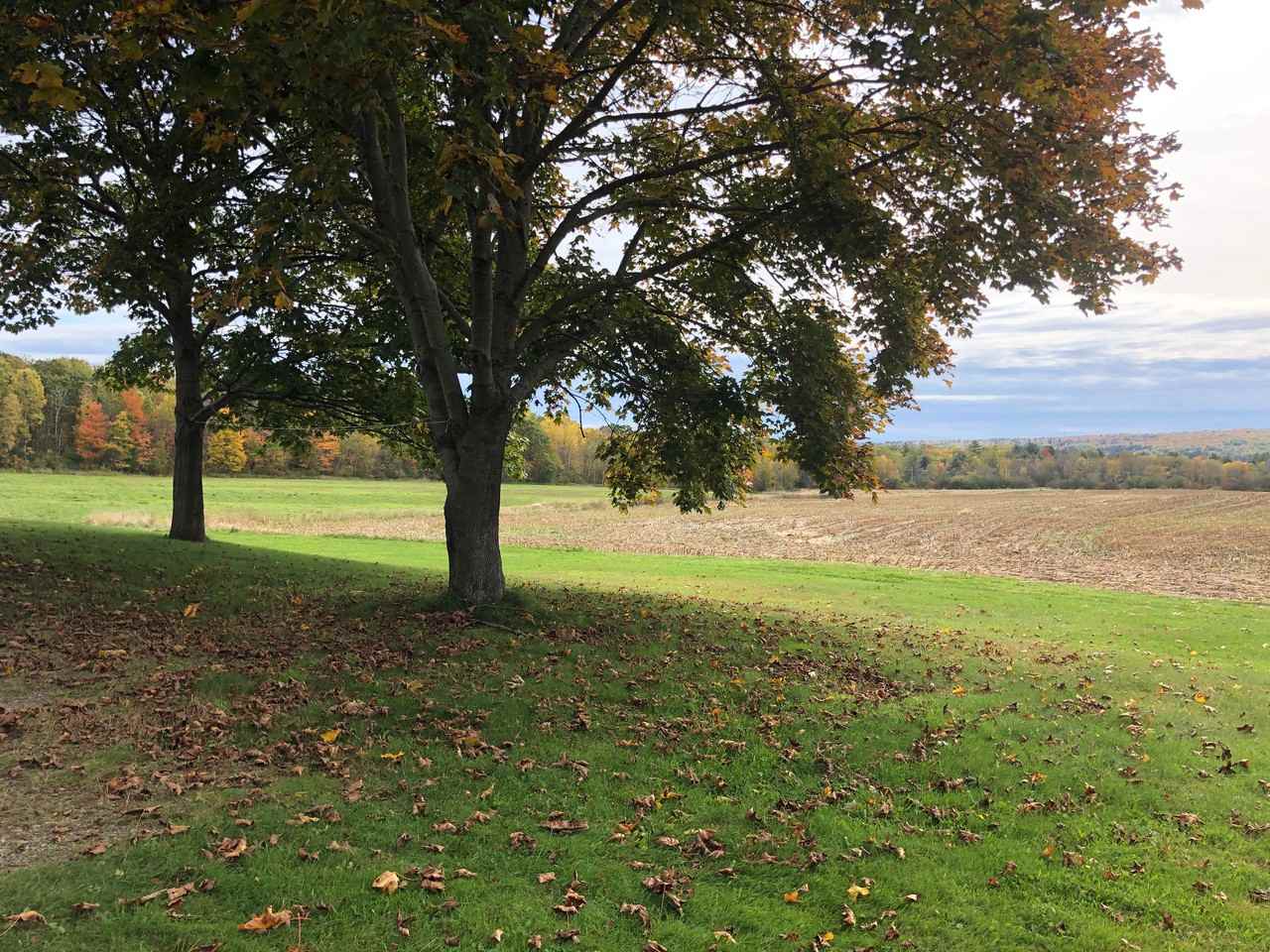 1085 Webber Pond Rd - Photo 3 of 4