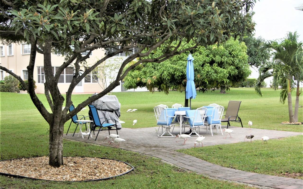 155 Bedford F - Photo 2 of 11