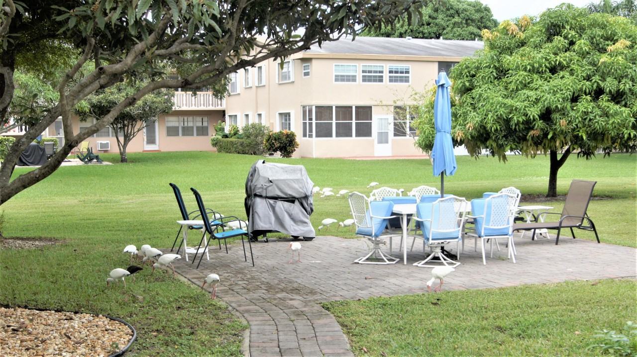 155 Bedford F - Photo 3 of 11