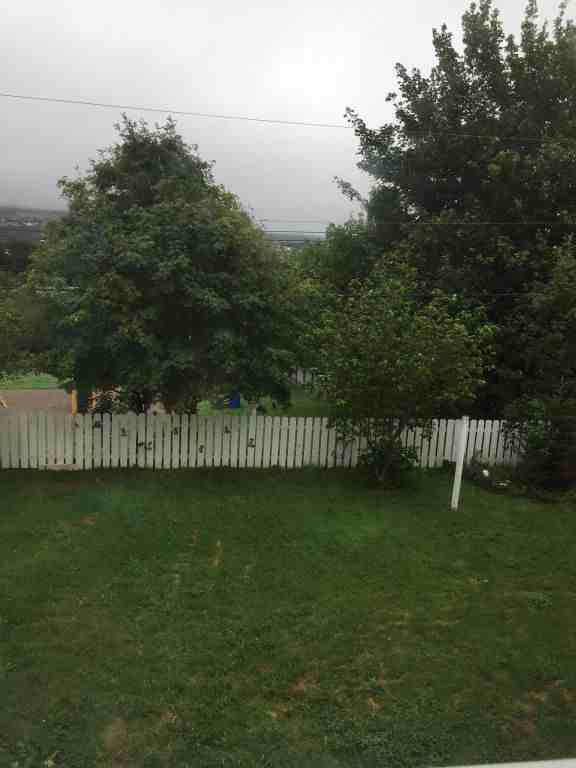 31 Bonavista Street Apartments in Lower Cowan Heights, St. John's, NL