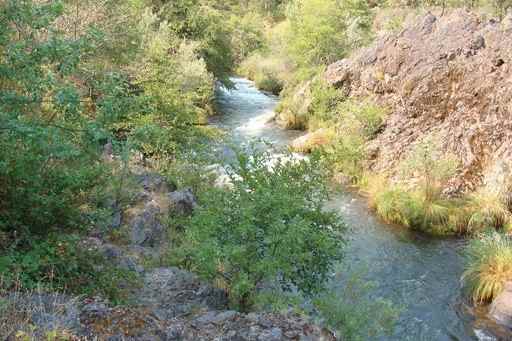 14150 Applegate Rd - Photo 2 of 7