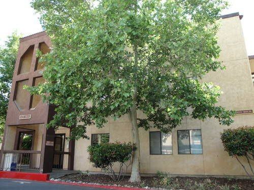 Lakeside Plaza - Photo 2 of 11