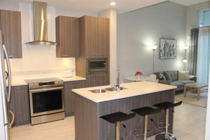 featured image of Hawk Hawk Lane