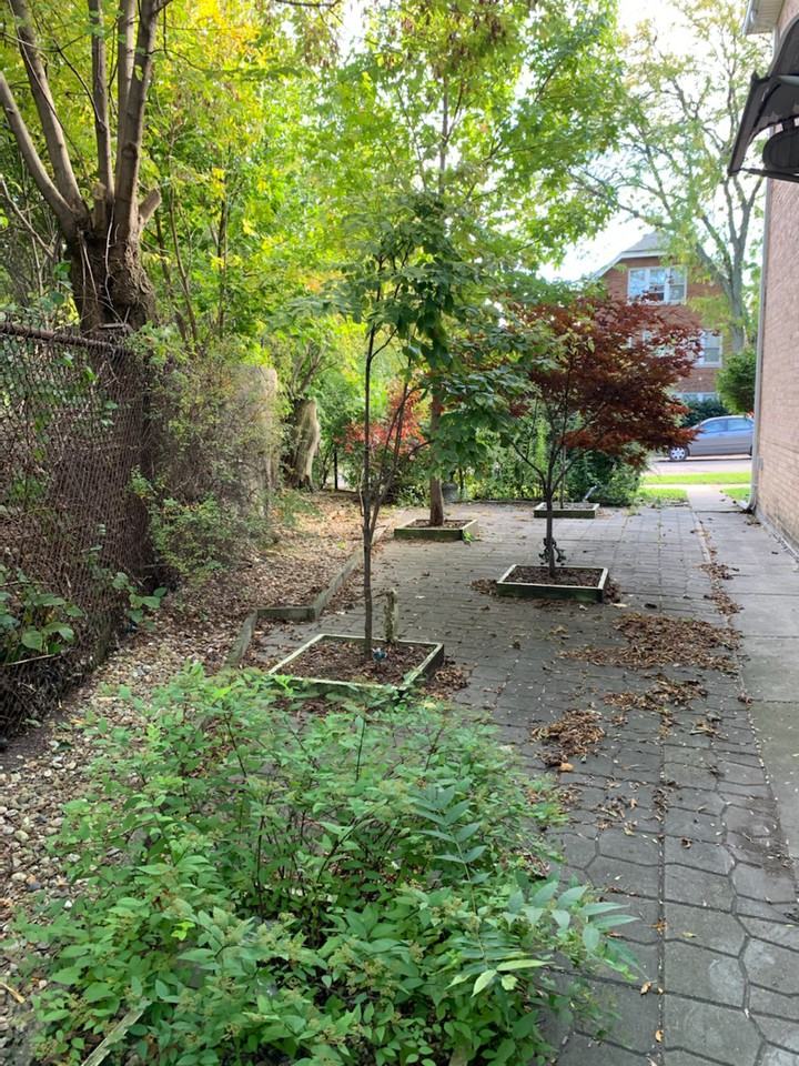 4928 W Ainslie St #2 - Photo 2 of 8