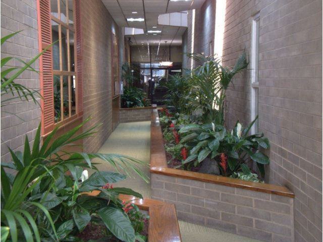 2039 Forest Ave #201 - Photo 2 of 14