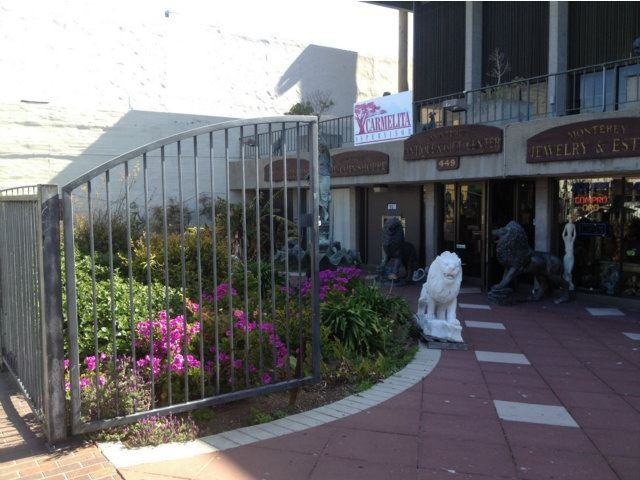 449 Alvarado St - Photo 2 of 5