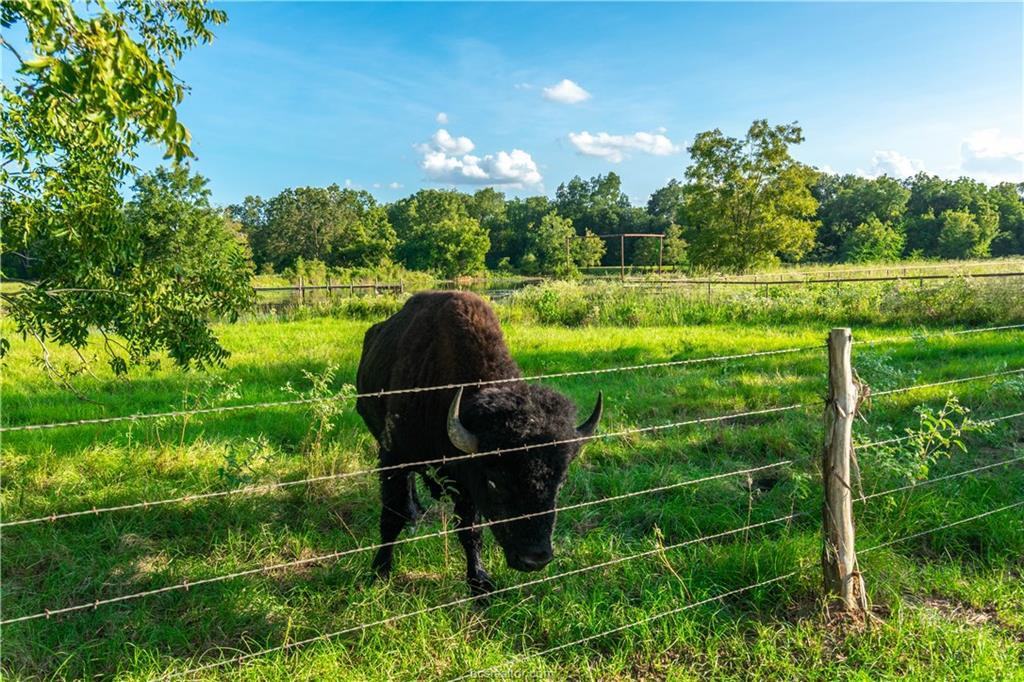 6705 Deep Well Road - Photo 3 of 25