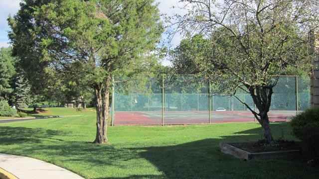 Forest Creek - Photo 3 of 20