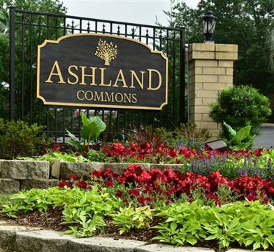 Ashland Commons Apartments For Rent 2400 Ashland Road Columbia