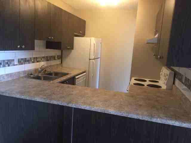 10604 29 Avenue Northwest #B102 - Photo 2 of 6
