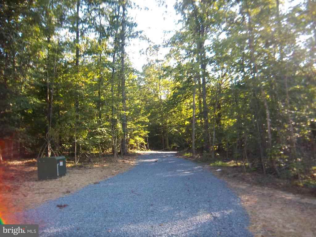 23135 Rapidan Farms - Photo 3 of 20