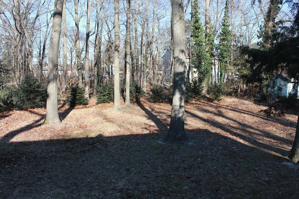 409 Swarthmore Rd - Photo 2 of 13