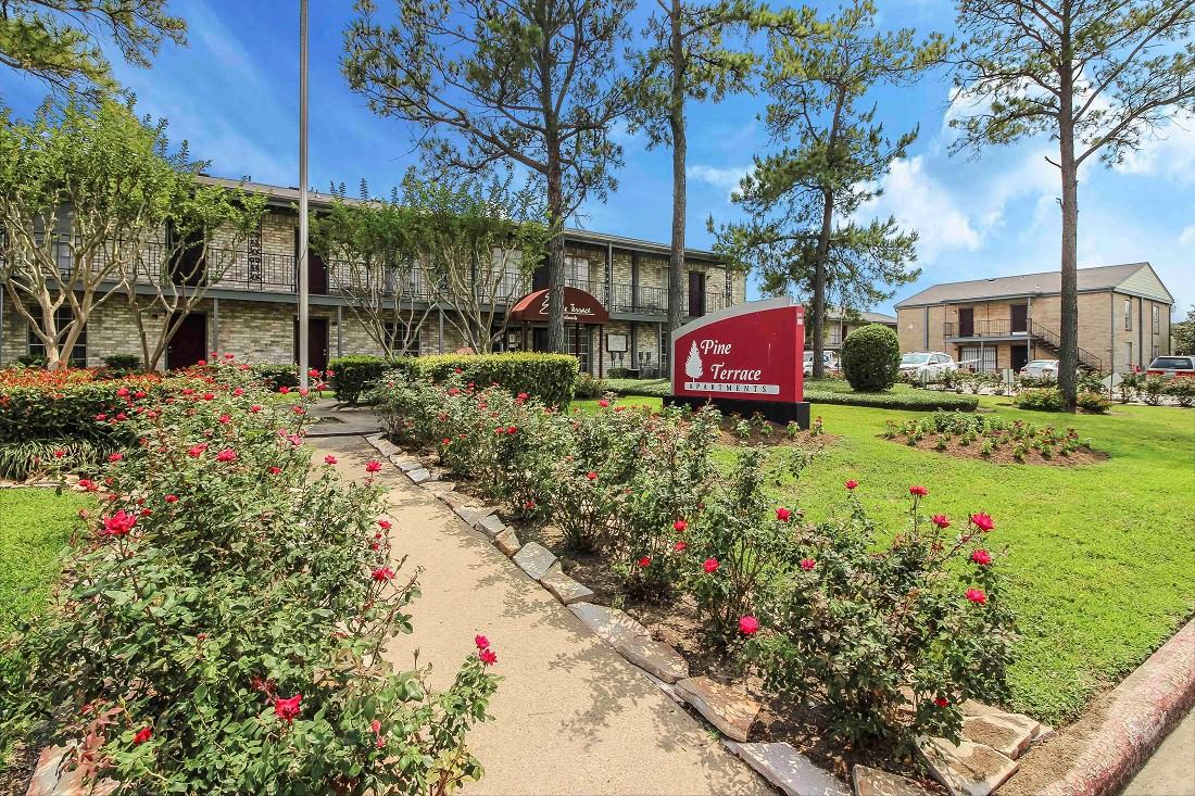 Pine Terrace - Photo 7 of 48