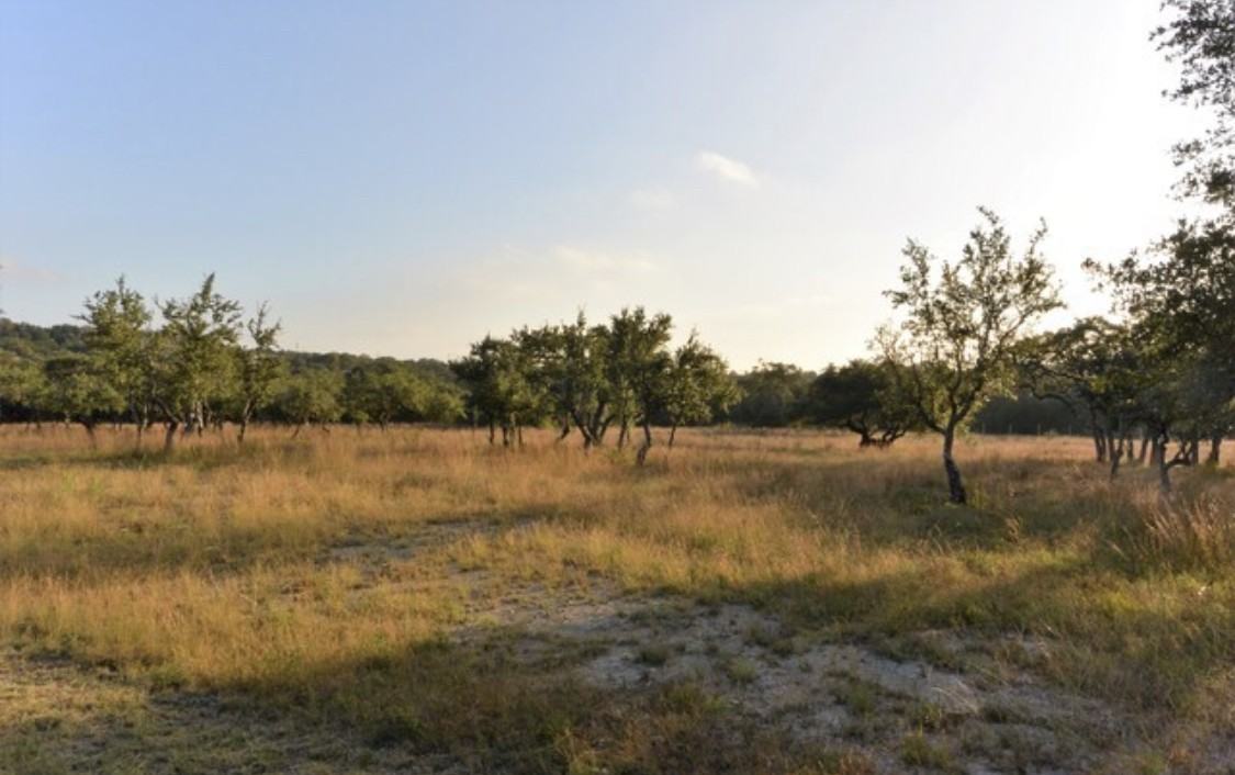 221 Ranch Cir Dr - Photo 2 of 22