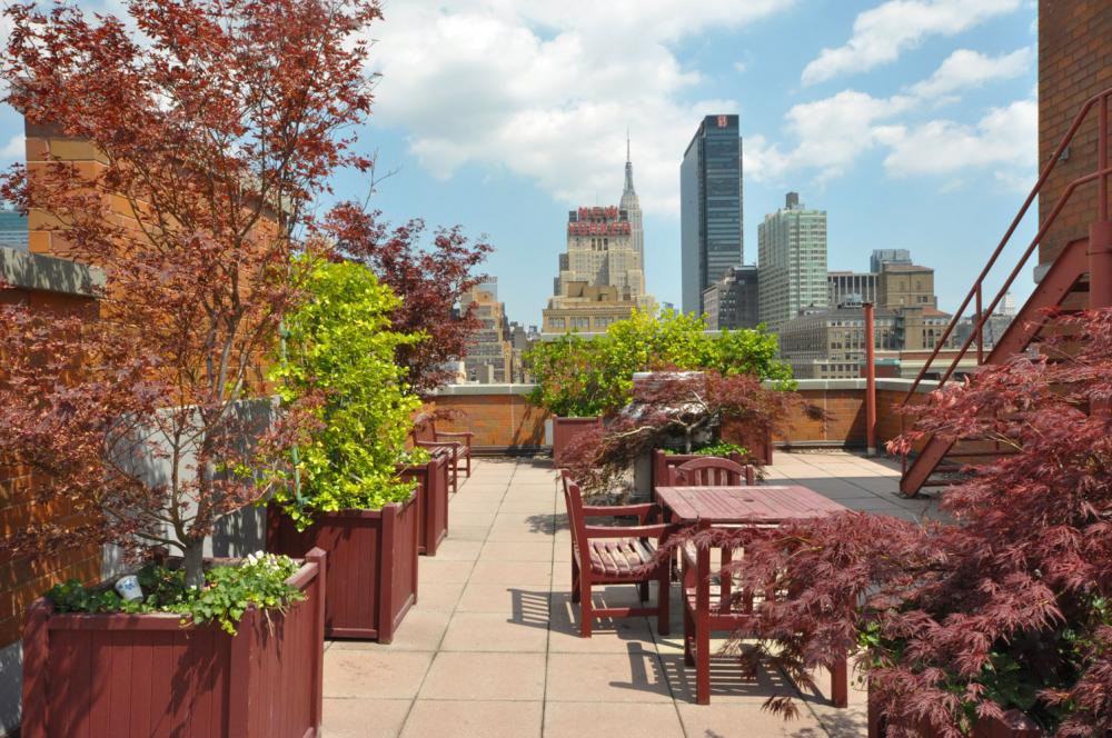 W 35th St #1C - Photo 5 of 5