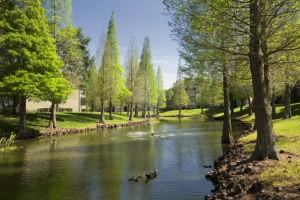 Camden Providence Lakes - Photo 3 of 8