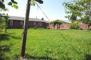 1113 Meadowview Dr - Photo 3 of 12