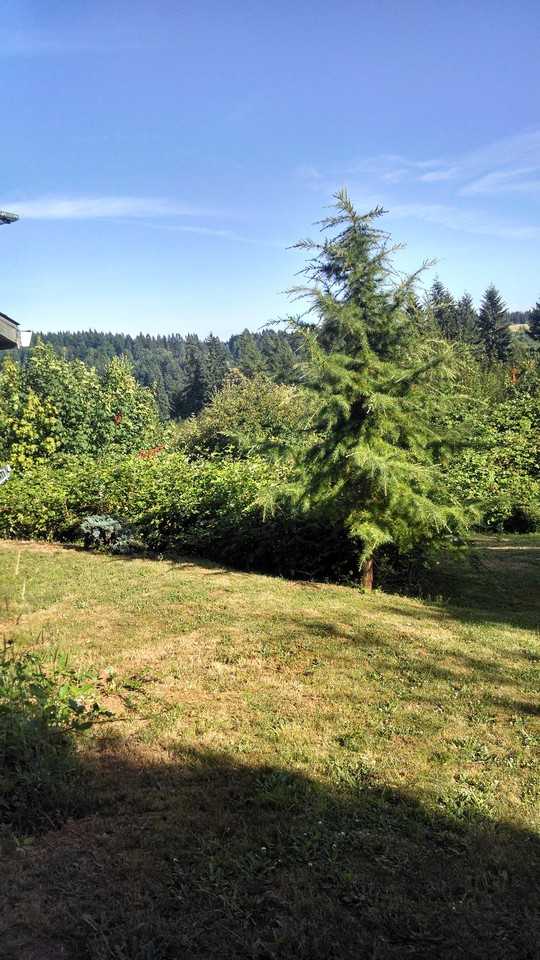 107 NE 381st St - Photo 3 of 32