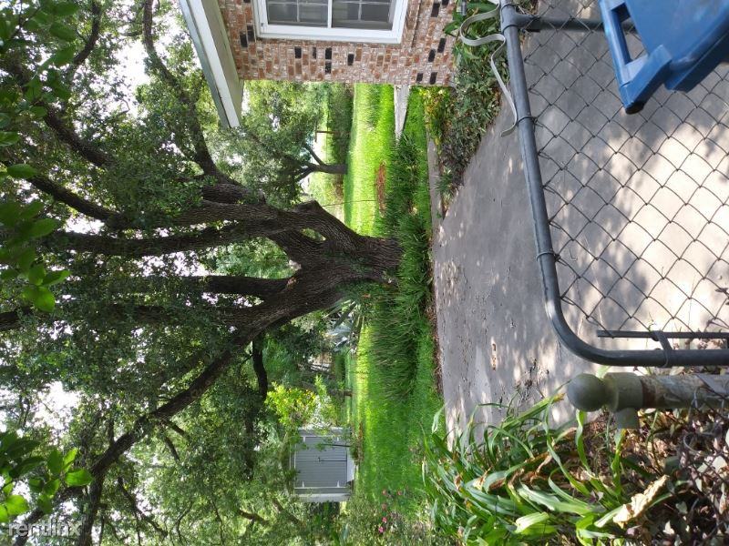 623 W George Street - Photo 3 of 13