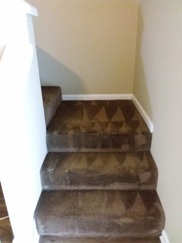 8387 Pineverde Lane - Photo 3 of 27