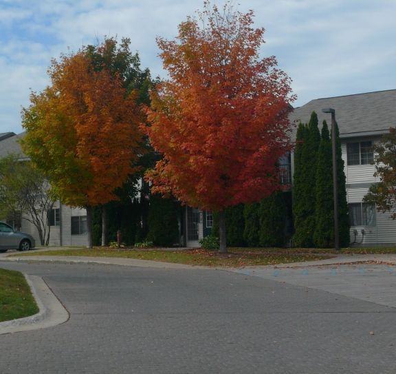Bay Hill I - Photo 3 of 29