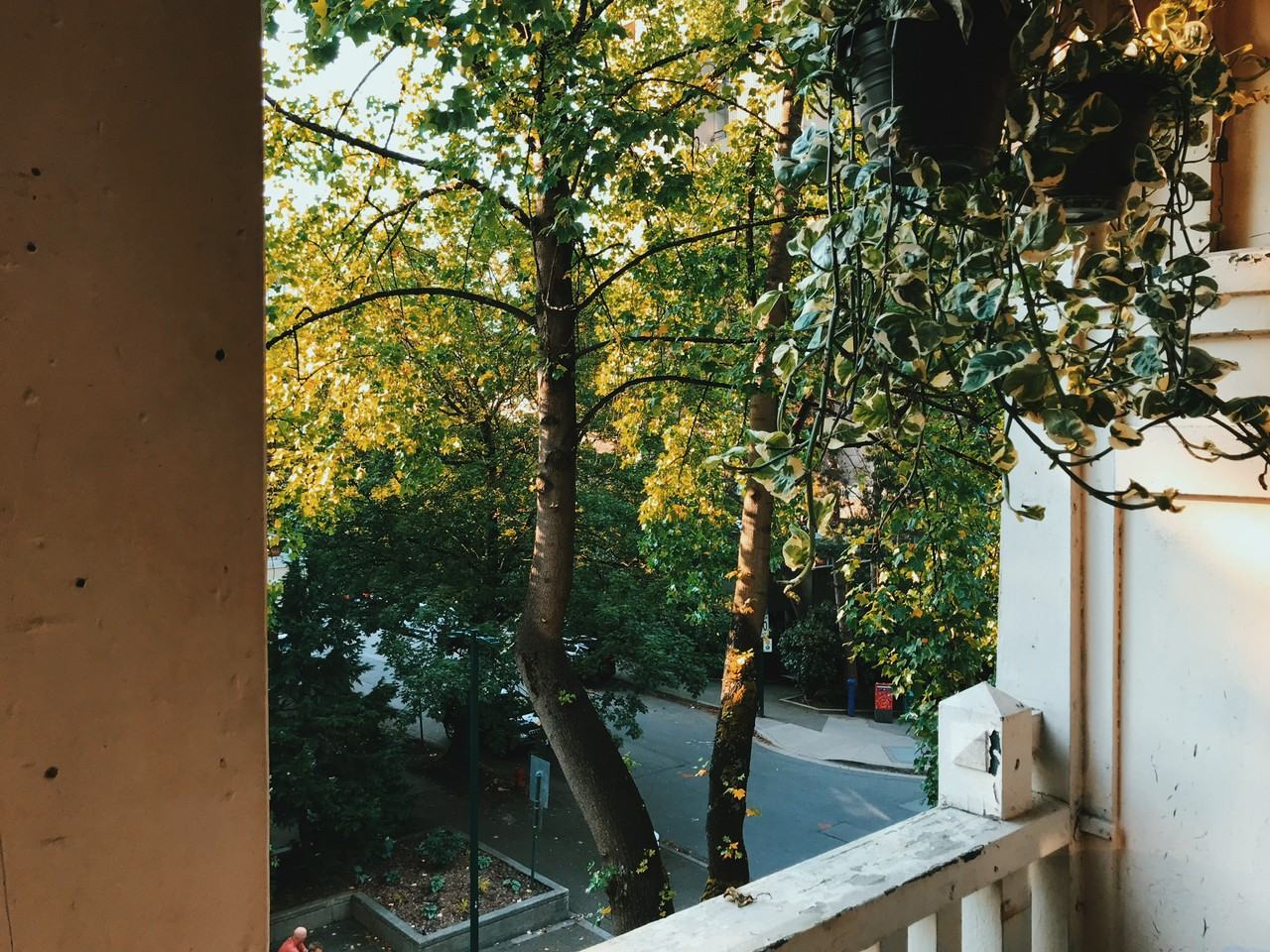 884 Bute St - Photo 2 of 6