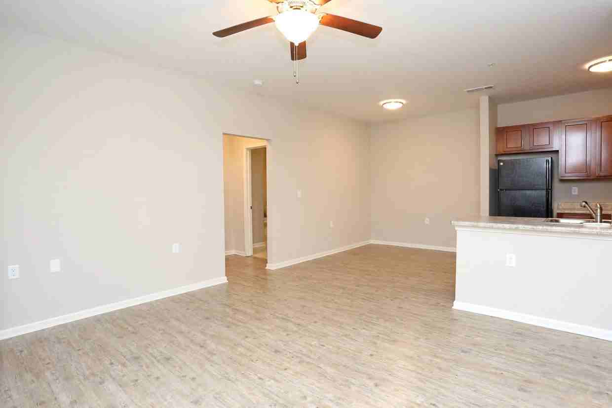 Bristol Bluffs - Photo 5 of 36