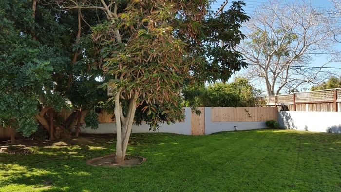 5836 Beaumont Avenue - Photo 3 of 15