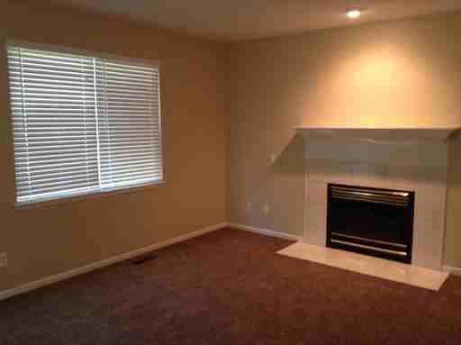 938 Balsam Wood Ln - Photo 2 of 17