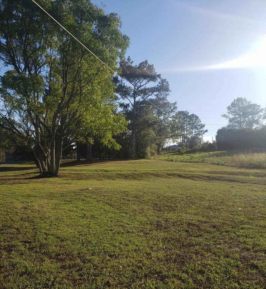 52659 Us Highway 78 E - Photo 3 of 5