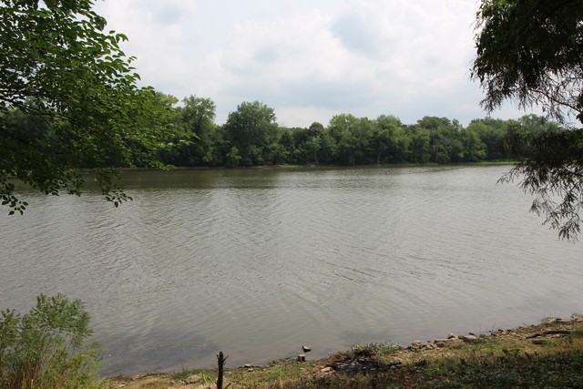 33955 West River Road - Photo 2 of 8