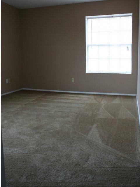 Falls on Antoine Apartments - Photo 3 of 16