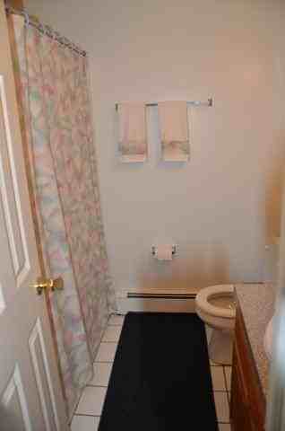 Tree Haven III - Photo 3 of 13