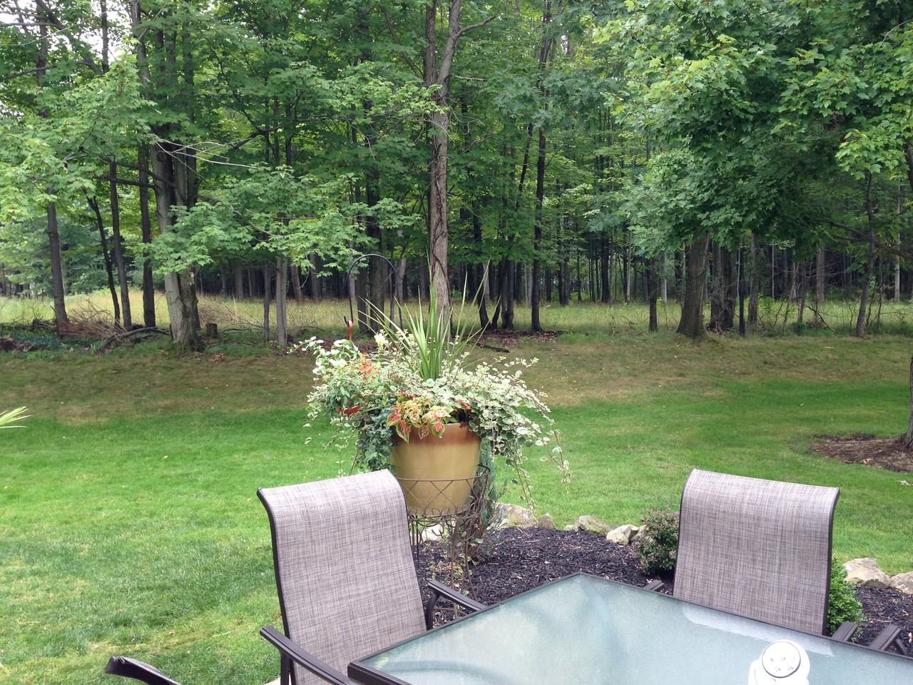 10157 Independence Drive - Photo 2 of 11