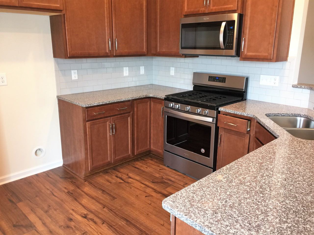 1041 Laceflower Drive - Photo 3 of 10