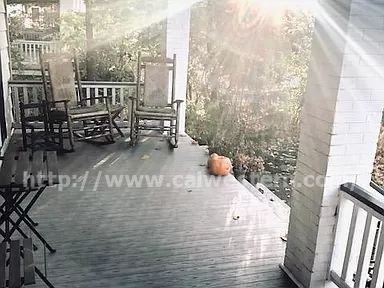 3232 Orion Ave - Photo 3 of 13