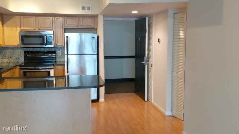 1001 North Randolph Street 217 - Photo 2 of 6