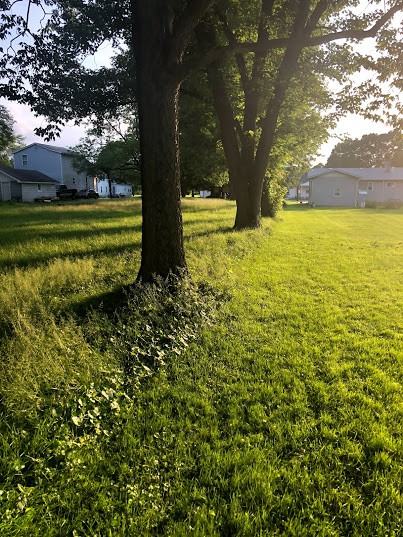 563 Cline St - Photo 2 of 5