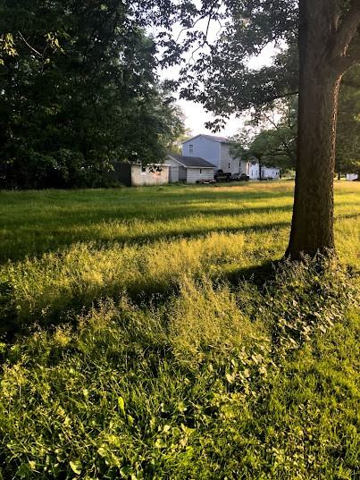 563 Cline St - Photo 3 of 5