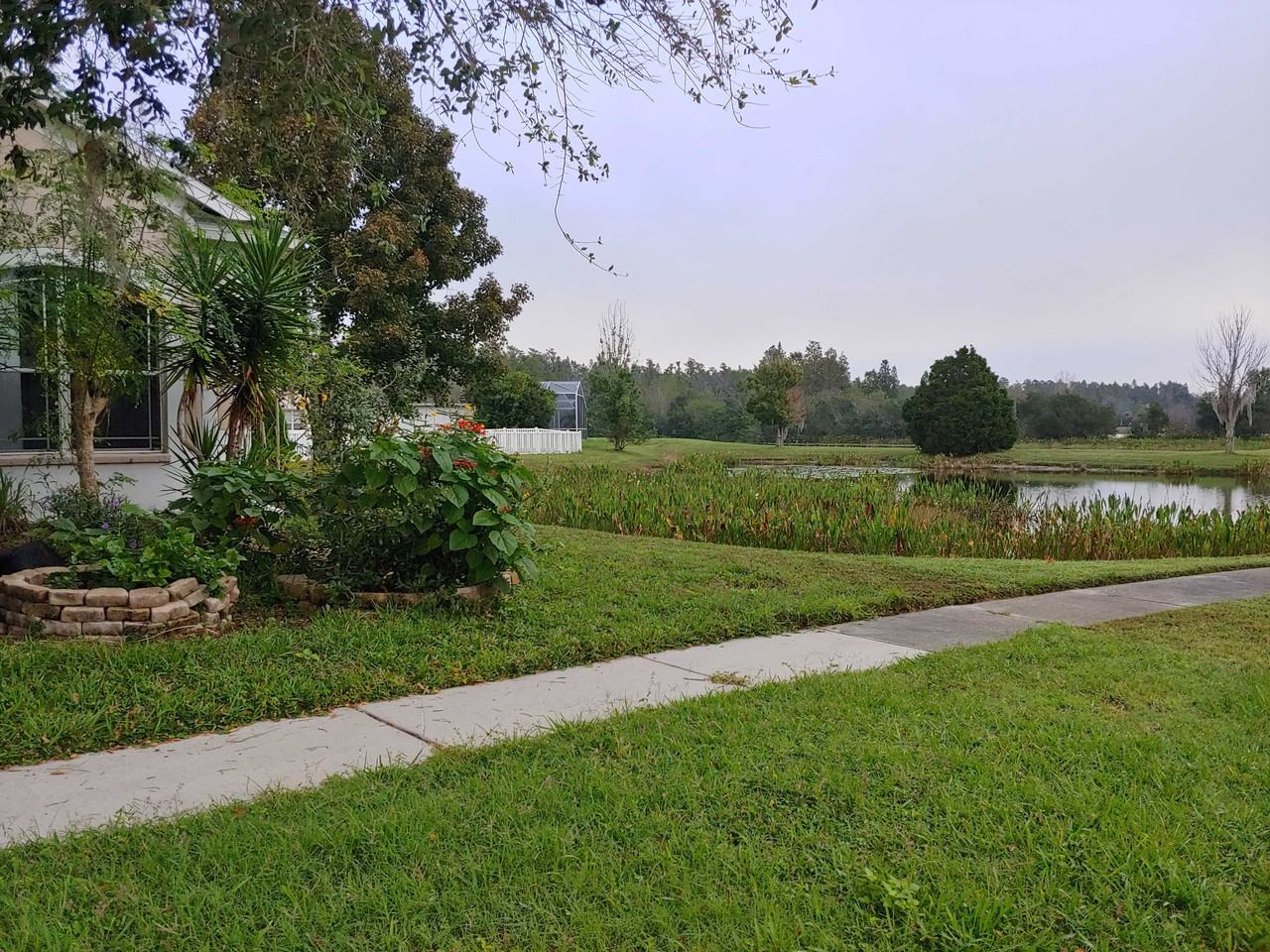 17353 Lawn Orchid Loop - Photo 2 of 10
