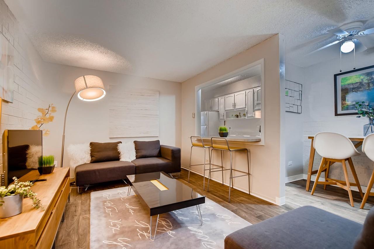 Vega - Photo 2 of 23