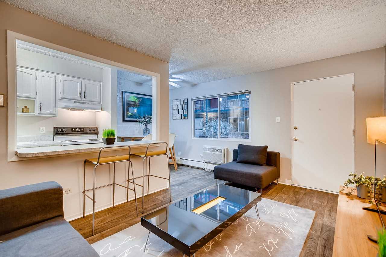 Vega - Photo 3 of 23