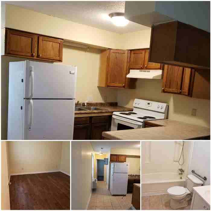 1908 Tall Pines Circle