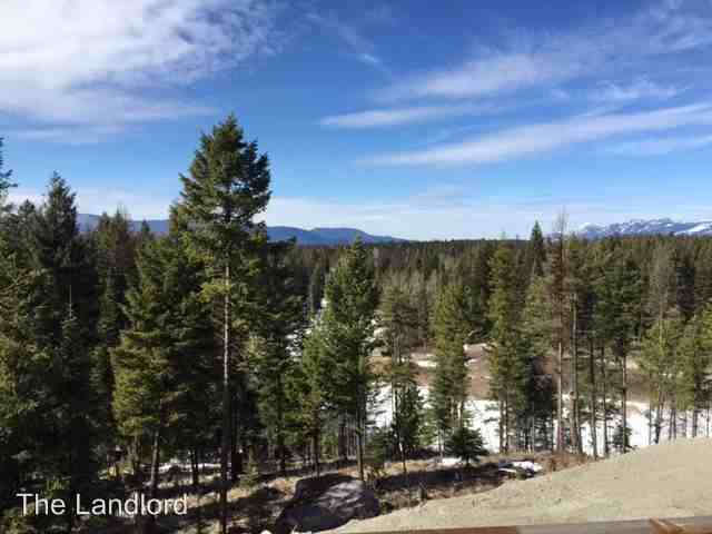 127 Out Of Bounds Trail - Photo 3 of 13