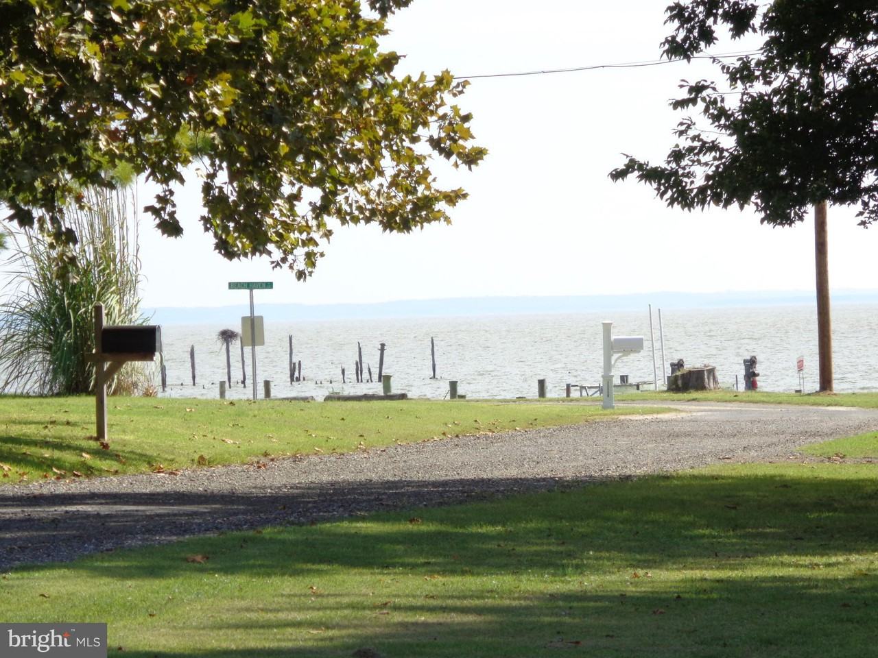 13405 Beach Haven Circle - Photo 2 of 30