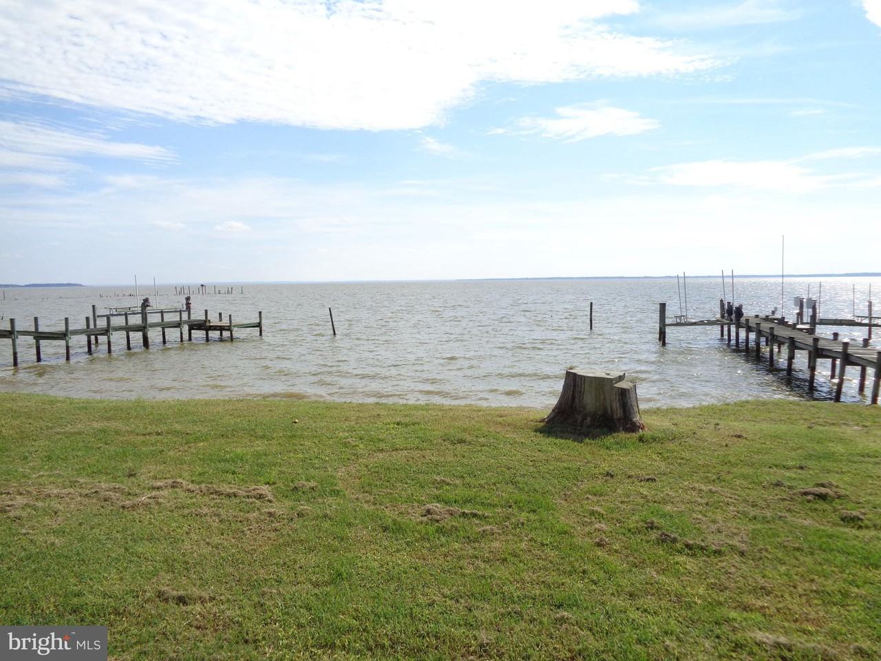 13405 Beach Haven Circle - Photo 3 of 30