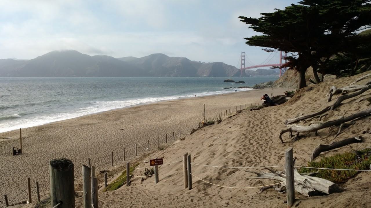 1518 Pershing Drive #E - Photo 6 of 8