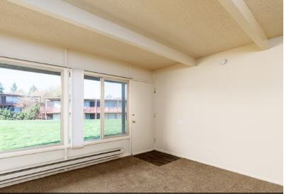 The Scholls - Photo 2 of 20